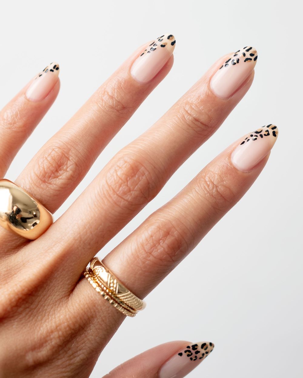 Manicured nails with leopard print tips and gold rings.